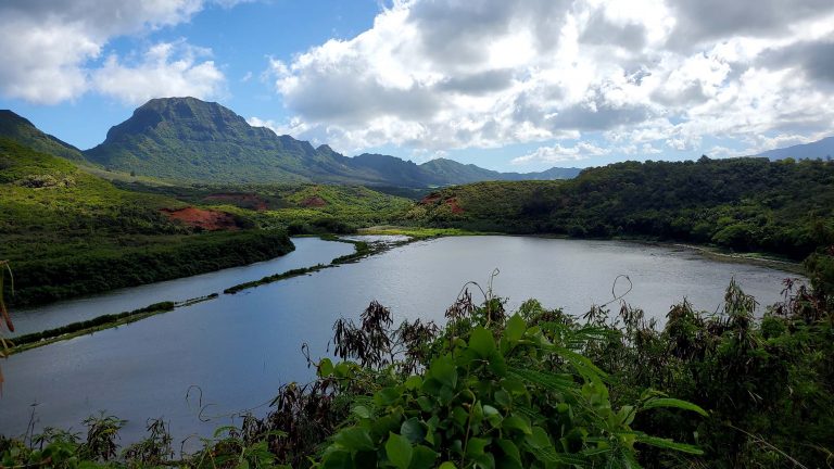 Kauai landscape
