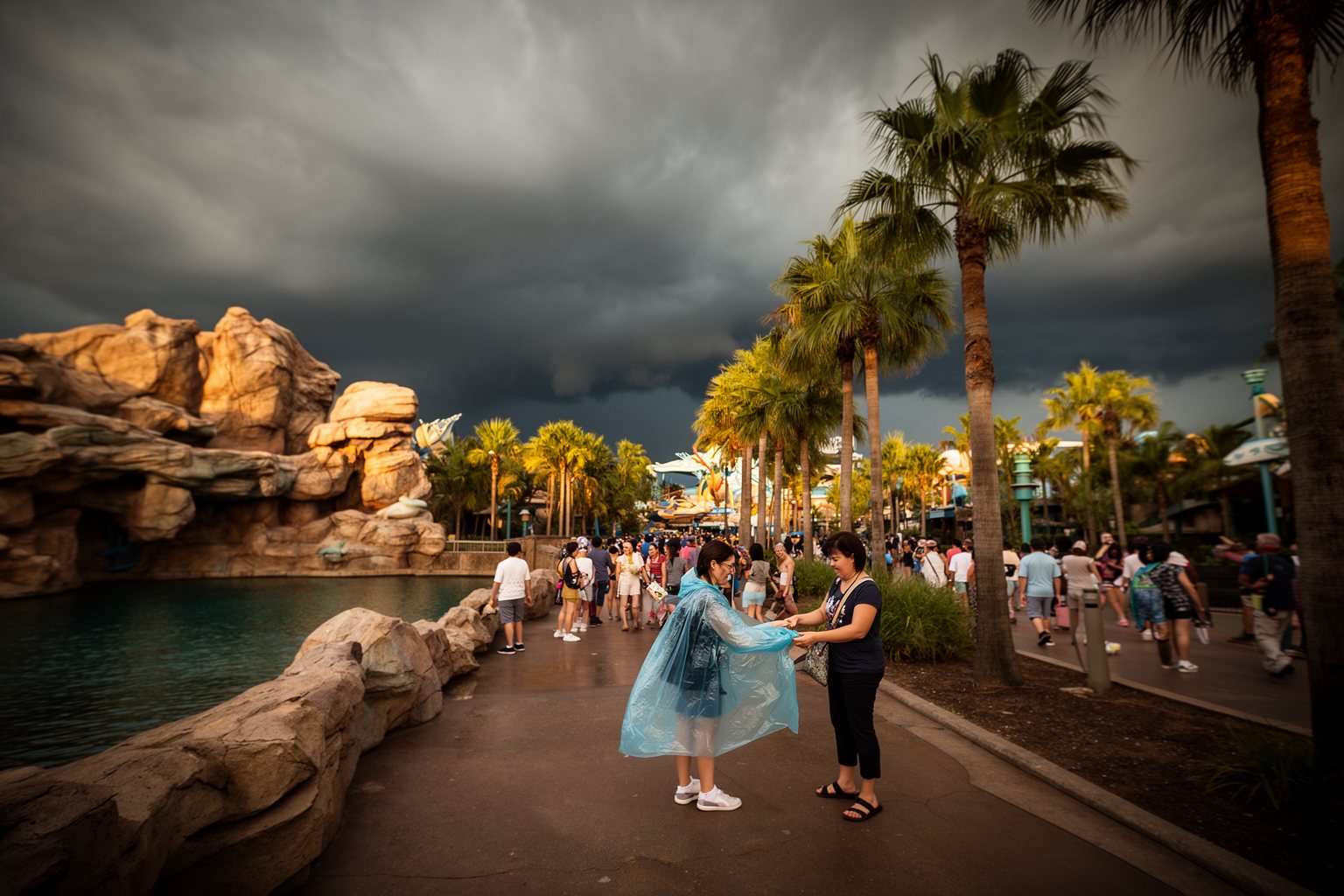 SeaWorld Family Guide: Surviving a Day at SeaWorld Orlando Visitors on a palm-lined path at SeaWorld as afternoon storm clouds build