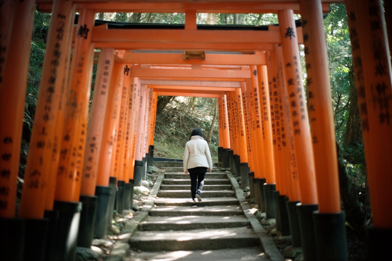 Visitor walking through a tunnel of vermilion torii gates at a Kyoto shrine