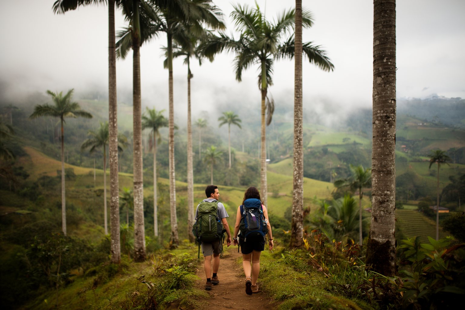 Budget Backpacking Trip: Plan, Pack and Pick a Destination Backpackers hiking among towering wax palms in Colombia's Cocora Valley